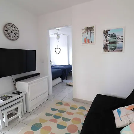 Apartment Spacieux 3 Pieces Climatise Avec Terrasse Et Garage - Fr-1-307-281