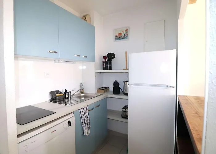 Spacieux 3 Pieces Climatise Avec Terrasse Et Garage - Fr-1-307-281 Le Grau-du-Roi